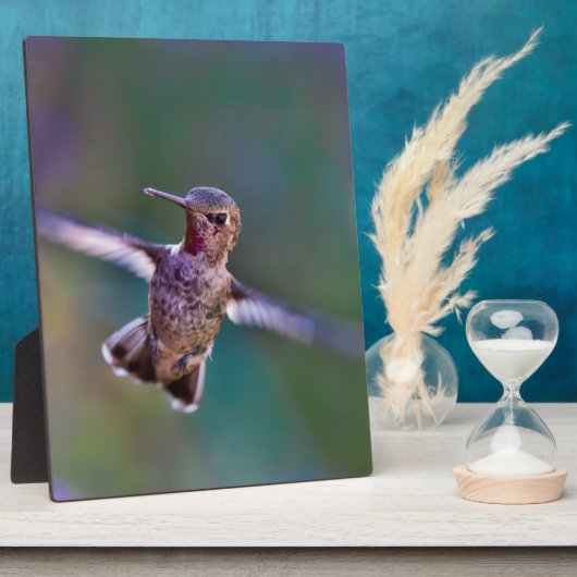 Hummingvogel Fotoplaat (Zijkant)