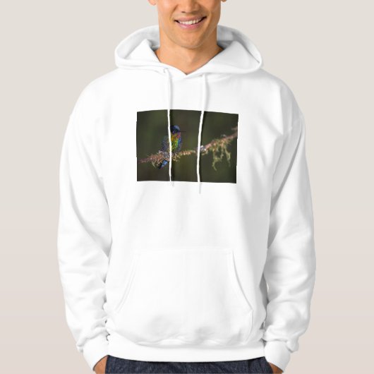 Hummingvogel Hoodie (Voorkant)