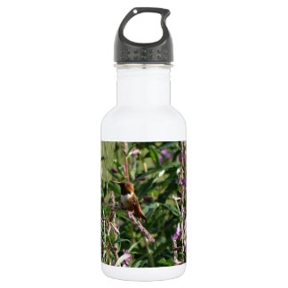 Hummingvogel in Paars Waterfles