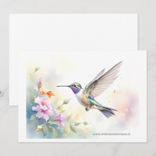 Hummingvogel Kaart (Voorkant / Achterkant)