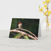 Hummingvogel Kaart (Gele Bloem)
