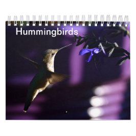 Hummingvogel Kalender