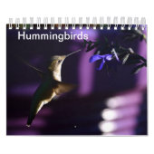 Hummingvogel Kalender (Hoes)