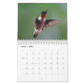 Hummingvogel Kalender (Mar 2026)