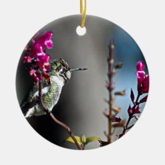 Hummingvogel Keramisch Ornament
