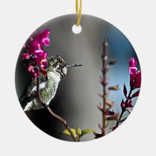 Hummingvogel Keramisch Ornament (Voorkant)