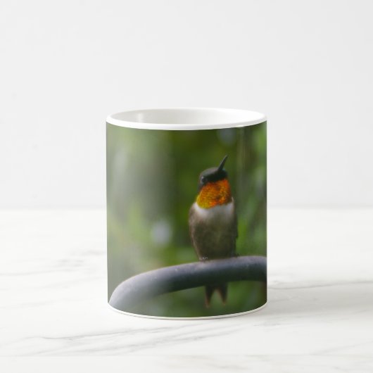 Hummingvogel Koffiemok (Center)
