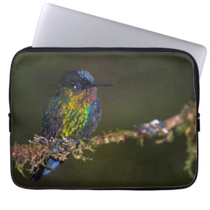 Hummingvogel Laptop Sleeve