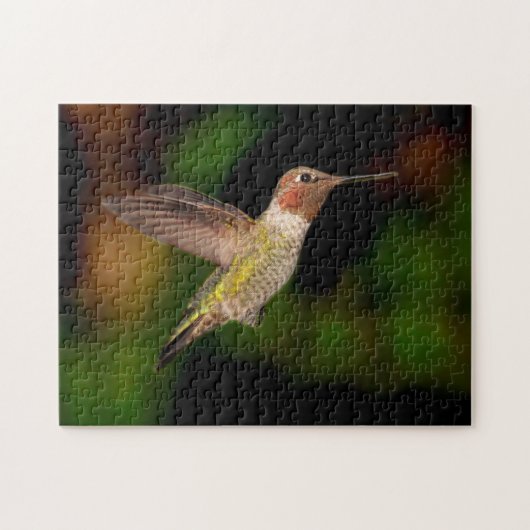 Hummingvogel Legpuzzel (Horizontaal)