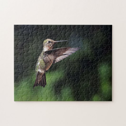 Hummingvogel Legpuzzel (Horizontaal)
