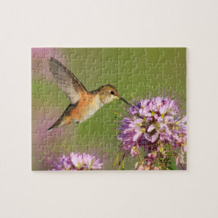 Hummingvogel Legpuzzel