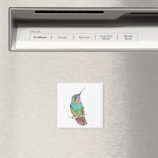 Hummingvogel Magneet (Insitu (Vaatwasser))