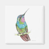 Hummingvogel Magneet (Voorkant)