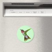 Hummingvogel Magneet (Insitu (Vaatwasser))