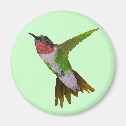 Hummingvogel Magneet (Voorkant)