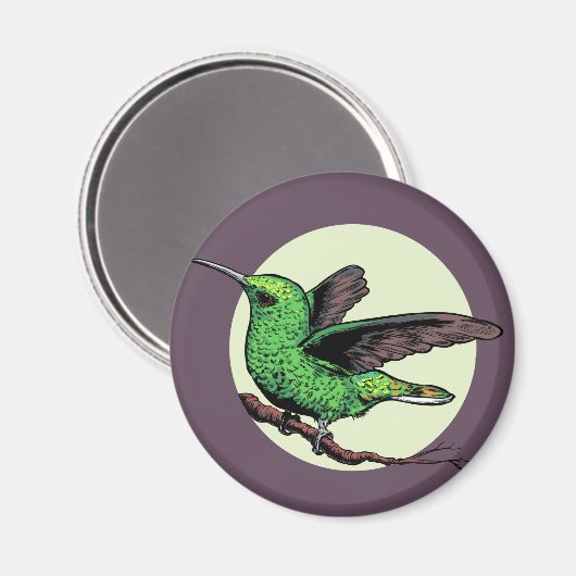 Hummingvogel Magneet (Voorkant / Achterkant)