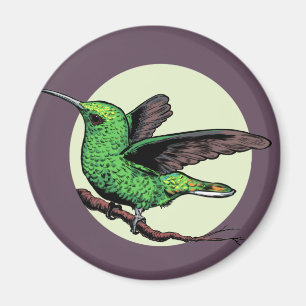 Hummingvogel Magneet