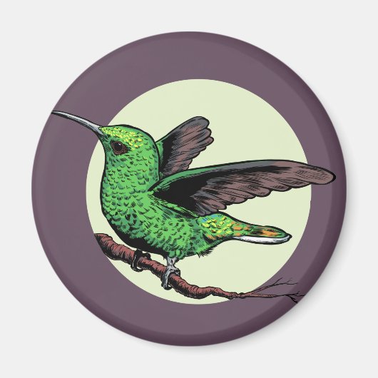 Hummingvogel Magneet (Voorkant)