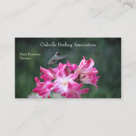 Hummingvogel met belladonnaliegingen visitekaartje