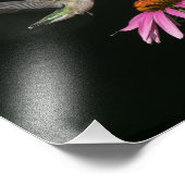 Hummingvogel met verklikker foto afdruk (Hoek)