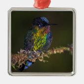 Hummingvogel Metalen Ornament (Voorkant)