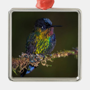 Hummingvogel Metalen Ornament