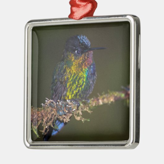 Hummingvogel Metalen Ornament (Links)