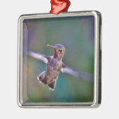 Hummingvogel Metalen Ornament (Links)