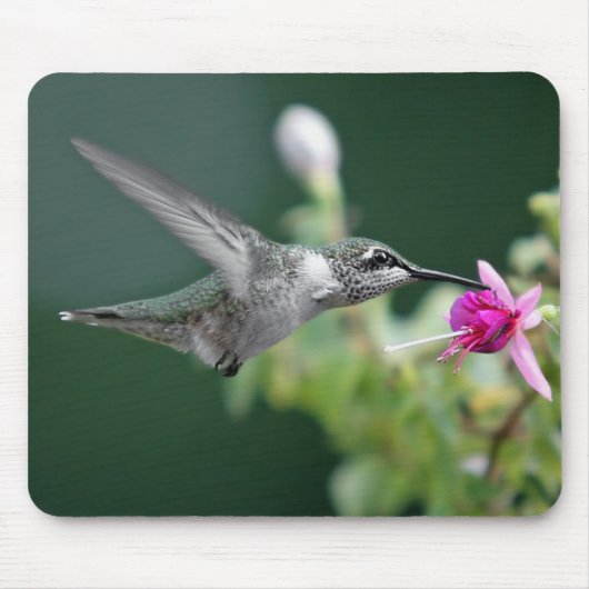 Hummingvogel Muismat (Voorkant)
