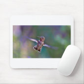 Hummingvogel Muismat (Met muis)