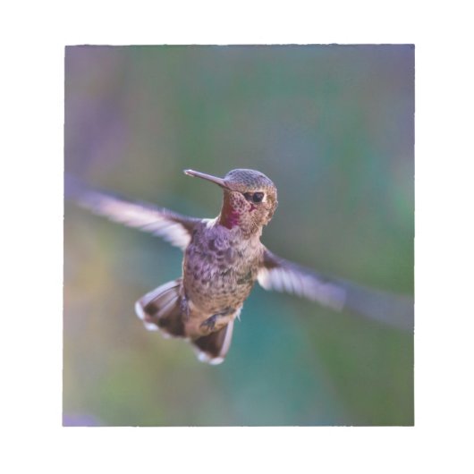 Hummingvogel Notitieblok (Voorkant)
