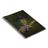 Hummingvogel Notitieboek (Rechterzijde)