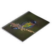 Hummingvogel Notitieboek (Linkerzijde)