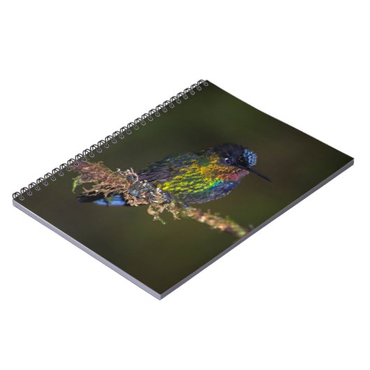 Hummingvogel Notitieboek (Linkerzijde)