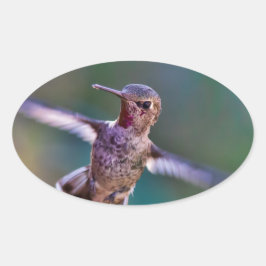 Hummingvogel Ovale Sticker