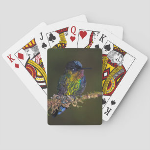 Hummingvogel Pokerkaarten