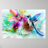 Hummingvogel Poster (Voorkant)