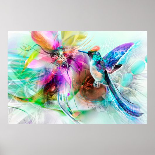 Hummingvogel Poster (Voorkant)