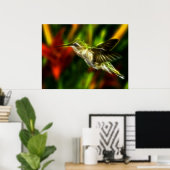 Hummingvogel Poster (Thuiskantoor)
