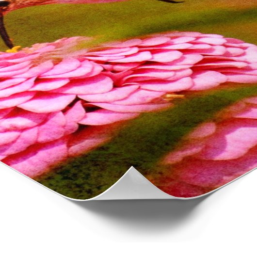 Hummingvogel Poster (Hoek)