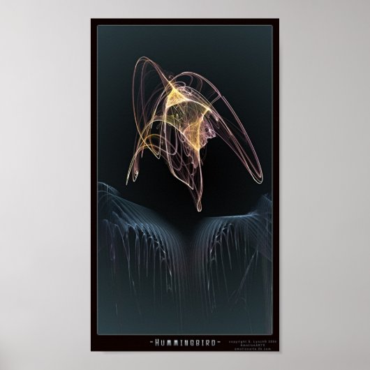 Hummingvogel Poster (Voorkant)