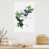 Hummingvogel Poster (Keuken)