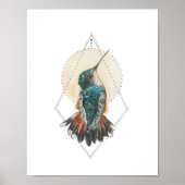 Hummingvogel Poster (Voorkant)