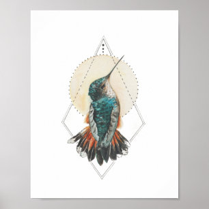 Hummingvogel Poster