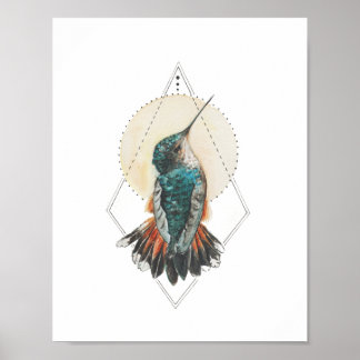 Hummingvogel Poster