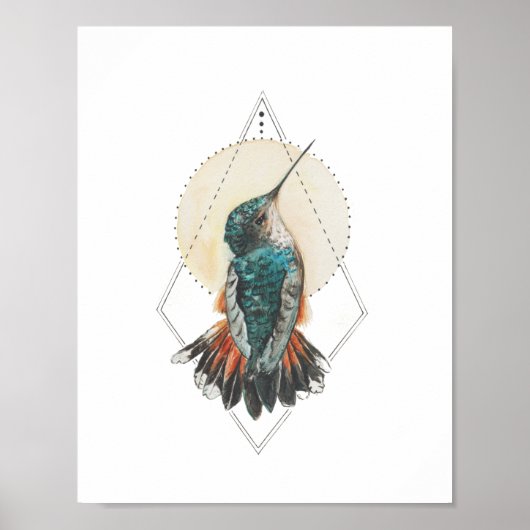 Hummingvogel Poster (Voorkant)