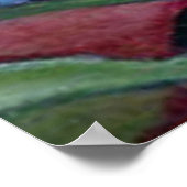 Hummingvogel Poster (Hoek)