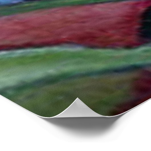 Hummingvogel Poster (Hoek)