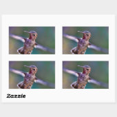 Hummingvogel Rechthoekige Sticker (Vel)