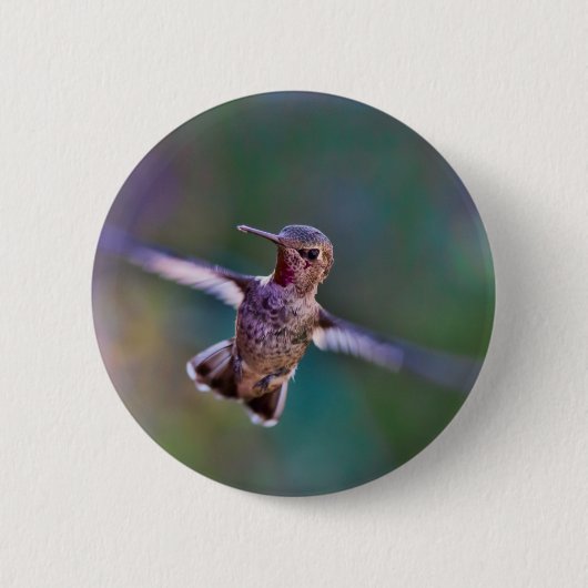 Hummingvogel Ronde Button 5,7 Cm (Voorkant)